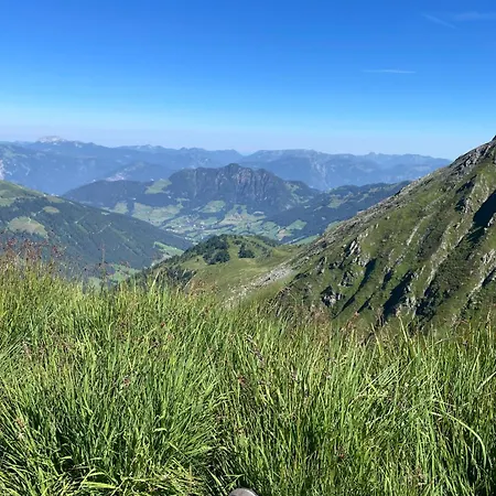 Sonnheim * 阿尔卑巴赫